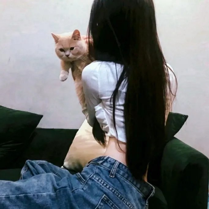 惹不起的殿下大人
